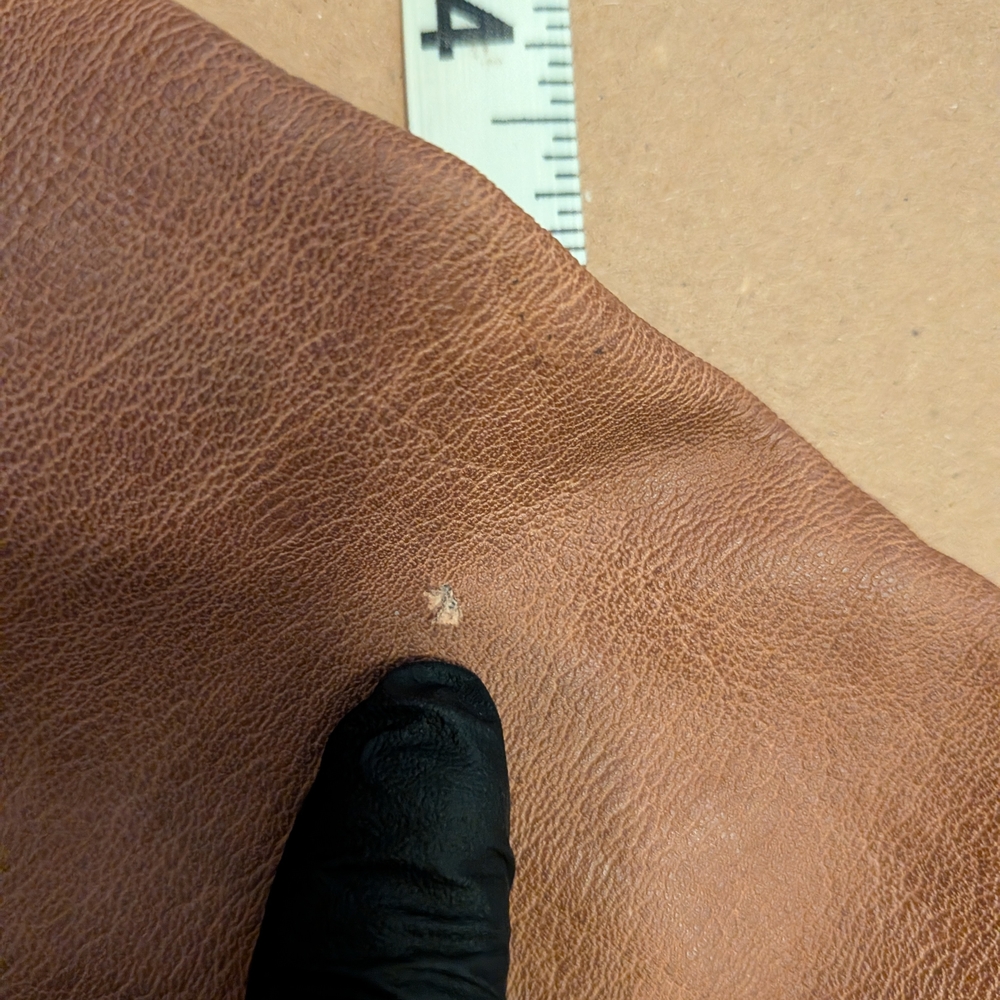 Tan Jacket - Picture 4 of 8